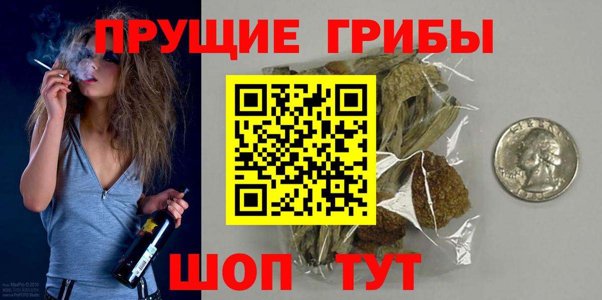 Новокубанск  Галлюциногенные грибы прущие грибы  Вход с VPN 