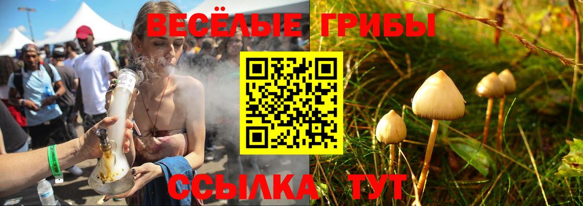 Псилоцибиновые грибы прущие грибы Новокубанск