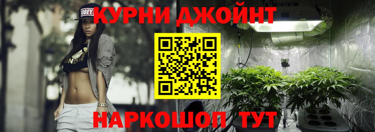 Новокубанск  Марихуана планчик  Марихуана конопля  Вход с VPN  Конопля MAZAR 